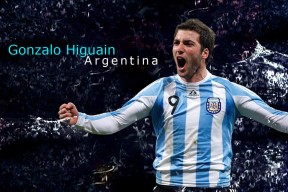 新手入门指南：九游官网下载（推荐）